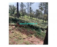 34 Cents Extent Plain Land For Sale In Kotagiri