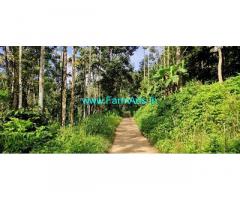 2 acres Farm Land for sale at Attappadi
