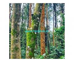 14 acre coffee estates for sale near Sakleshpur