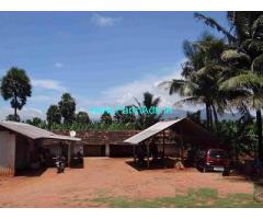 87 Cents Banana Plantation Farm Land sale near PCF Road