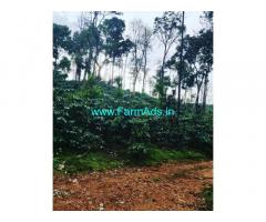 13 acres coffee estate for sale in Jagara hobli 13 acres coffee estate for sale in Jagara hobli