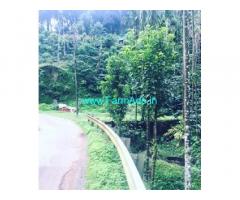 3 acre coffee areca plantation for sale in Kalasa road 3 acre coffee areca plantation for sale in Kalasa road