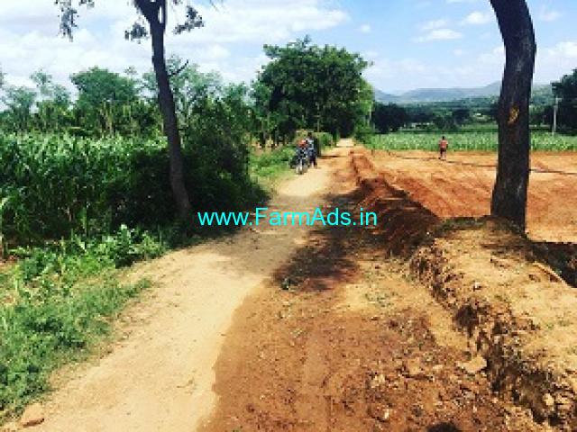 2 acres 10 guntas farm land for Sale In Saslu Hobli 2 acres 10 guntas farm land for Sale In Saslu Hobli