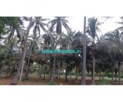 48 acres full fledged plantation for sale near Nanjangud 48 acres full fledged plantation for sale near Nanjangud