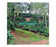 160 acres coffee estate for sale in Balehonnur Sringeri road