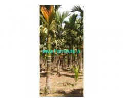 3 acre areca nut Farm for Sale near Shimoga
