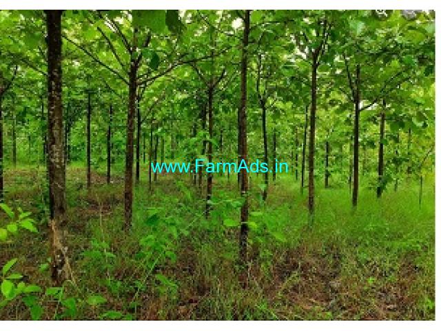 6.01 Acres Well developed Farm Land for Sale near Madhugiri 6.01 Acres Well developed Farm Land for Sale near Madhugiri
