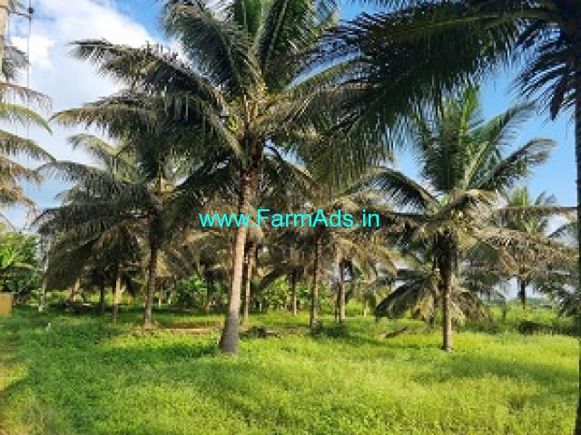 4 acre Farm land For Sale Near Amruthur 4 acre Farm land For Sale Near Amruthur