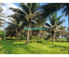 4 acre Farm land For Sale Near Amruthur