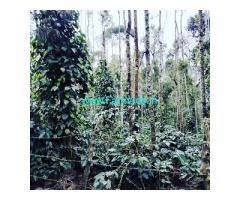 2.5 acre well maintained coffee estate for sale in Chikmagalur