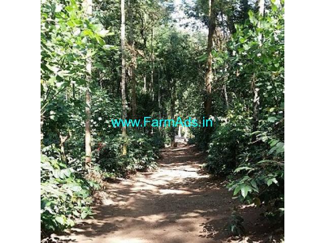 150 acre estate for sale in Hassan 150 acre estate for sale in Hassan