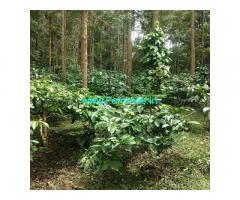 150 acre estate for sale in Hassan 150 acre estate for sale in Hassan