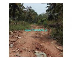 3 acre coconut plantation for sale Near Javagal 3 acre coconut plantation for sale Near Javagal