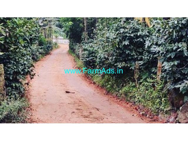 1.5 acre coffee areca pepper plantation for sale in Chikkmagalur 1.5 acre coffee areca pepper plantation for sale in Chikkmagalur