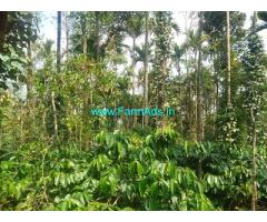 2.5 acre well maintained Robusta plantation sale in Mudigere