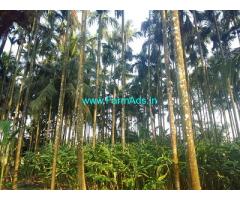 18 acre Coffee Farm Land sale in Mudigere 18 acre Coffee Farm Land sale in Mudigere