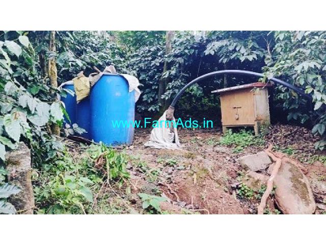 1.5 acre coffee areca and pepper plantation for sale in Chikmagalur 1.5 acre coffee areca and pepper plantation for sale in Chikmagalur