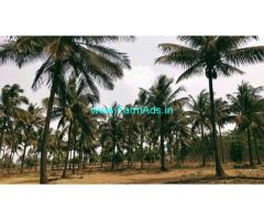13 guntas Farm Land for Sale near Belur