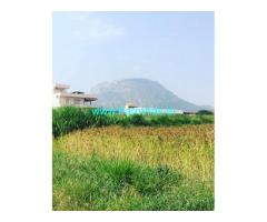 2.5 Guntas Land for Sale at Vijaypura Hobli