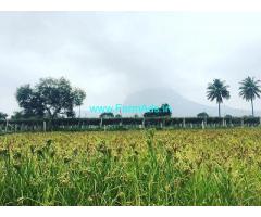 15 Guntas Farm land for sale near Nandhi Hills