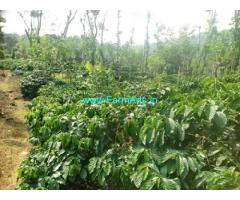 2.5 acre well maintained Robusta plantation sale in Mudigere