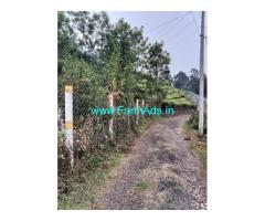 8.5 Cents Plain Land For Sale In Kattabettu