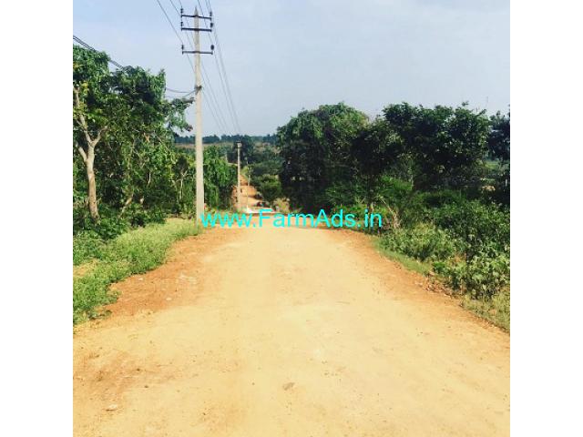 13.5 Guntas land for sale in Doddaballapur 13.5 Guntas land for sale in Doddaballapur