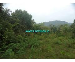 8 acre plain land sale in Mudigere