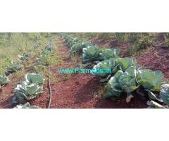 1 Acre Farm Land for Sale near Zaheerabad