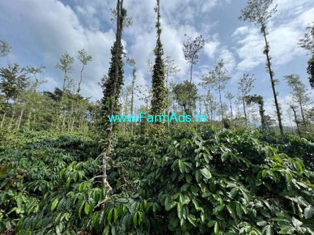 19 acres of well maintained plantation Sale near Chikmagalur 19 acres of well maintained plantation Sale near Chikmagalur