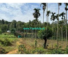 19 acres of well maintained plantation Sale near Chikmagalur 19 acres of well maintained plantation Sale near Chikmagalur