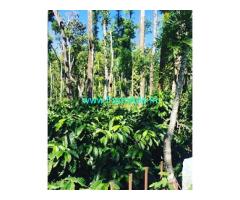 2 acre well maintained coffee estates for sale in Mudigere