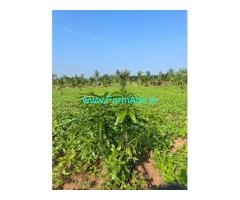 24 acre farm land with farmhouse for sale at Nallur village