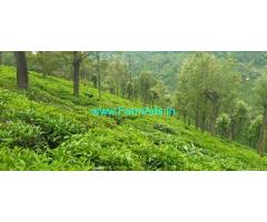 256 acres Ooty tea estate for sale in Ooty