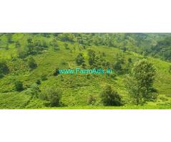 256 acres Ooty tea estate for sale in Ooty