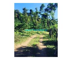 5 acre coffee estate for sale In Bankal Devarmane road