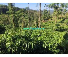 5 acre coffee estate for sale In Bankal Devarmane road