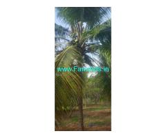 5.5 acre Farm Land for Sale near Reddiyarchatram