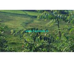 2 acre 30 gunta agriculture land for sale Near Jannapura