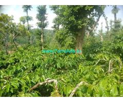 15 Guntas coffee estate sale in Mudigere taluk