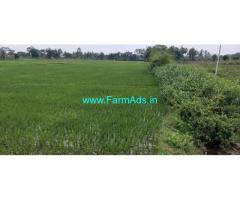 1.30 gunta Farm Land for Sale near Mysore