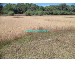 2.5 acre Agriculture land for sale in Mudigere