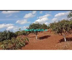 5 Acre's mango garden for Sale at Bilalpur Village