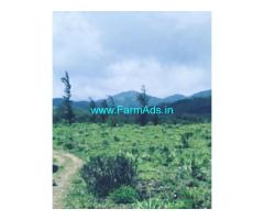 7 acre Estate land for sale in Mudigere