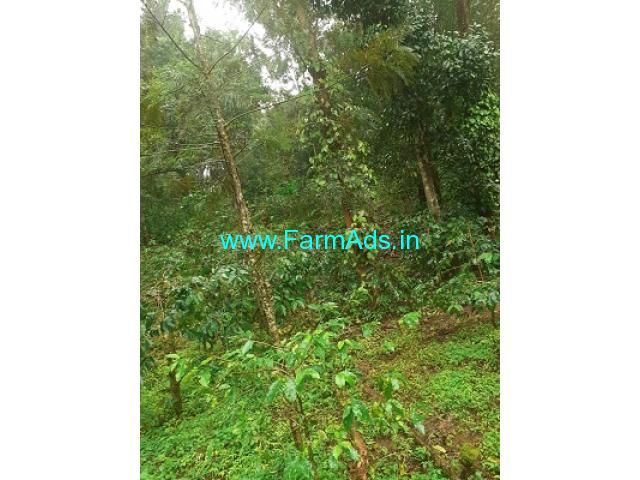 17 acre average maintained Arabica coffee estate for sale in Chikmagalur 17 acre average maintained Arabica coffee estate for sale in Chikmagalur