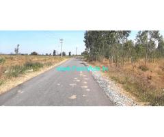 1 Acre 04 Gunta Farm Land For Sale Near Bangarpet