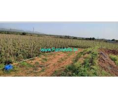 28 acre Farm Land for Sale near Hiriyur