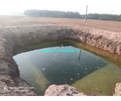 10.50 Acre Land for Sale near Udumalpet to Palladam main road