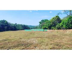 15 acre agriculture land for sale in Mudigere