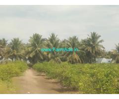 18 Acres Horticulture farm sale near Dindigul